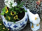 Pansy Seagull Pot