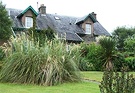 Plockton Garden Grasses