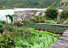 Plockton Garden Vegetables