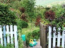 Plockton Shrubbery