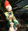 Robinson Gnome