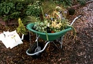 Shifting Wheelbarrow Plants