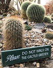 Sign Cactus