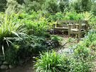 Spring Growth Courtyard