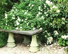 Stone Table Rose