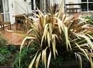 Wet Flax Patio