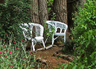 White Chairs Garden