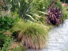 Water Grass Flax