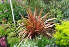 Red Flax Garden