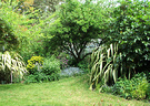 Wattle Apple Borders