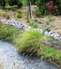 Water Side Path