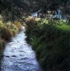 Water Garden Cold Stream