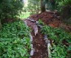 Garden Path Designs