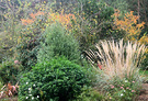 June 2002 Grasses