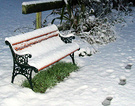 June 2002 Snow