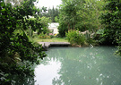 2003 Pond Garden
