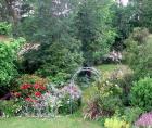 Garden Arch View