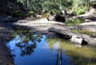 Bush River Pool