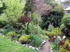 Middle Path Spring