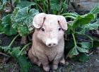 Pig Garden Statue