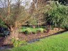 Willow Garden Stream