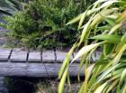 Wooden Garden Bridge