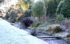 Frost Water Bridges