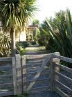 Gate Flax Cordyline Tree