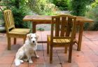 Patio Table Chair Puppy