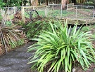 Bridge Flax Netting