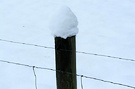 Fence Post Snow