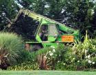 Hedge Trimmer