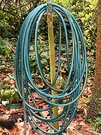 Hose Autumn Leaves