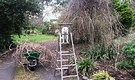 Ladder Cat Trees