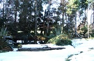 Pond Snow Melt