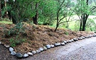 Welcome Garden