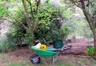 Wheelbarrow Rake Shovel
