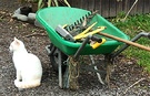 White Cat Wheelbarrow