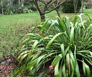 Winter Pond Paddock