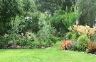 2007 Birthday Garden