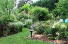 Bird Bath Garden