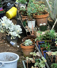 Glass House Mess