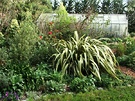Glasshouse Big Flax