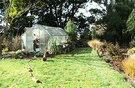 Glasshouse New Garden
