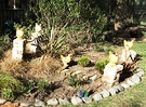 Hen Statues