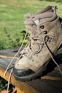 Hiking Boot