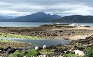 Isle Skye Sheep