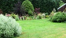 New Lawn Back