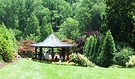 Pagoda Botanic Gardens