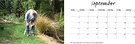 September Garden Calendar1
